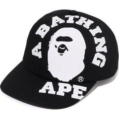 BIG COLLEGE CAP MENS